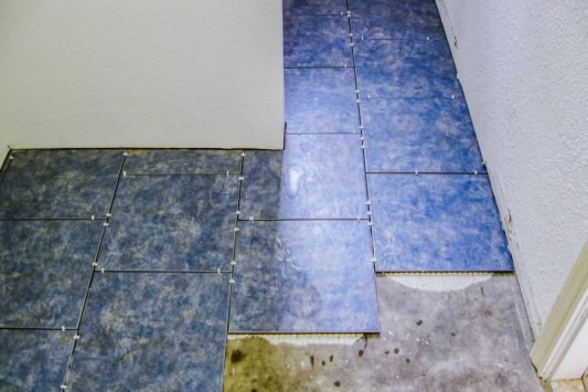 Aviary-Photo_130598576888097338_edited1